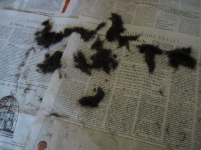 Cheveux