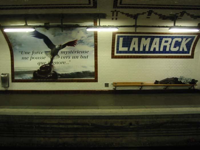 le dormeur