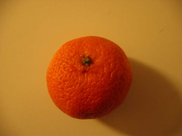 orange 01