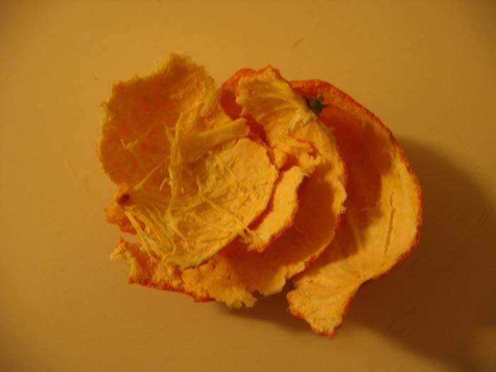 Orange 03