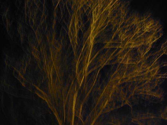 19:21:00