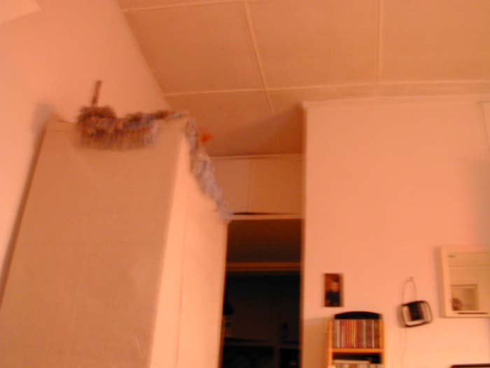 23:19:23