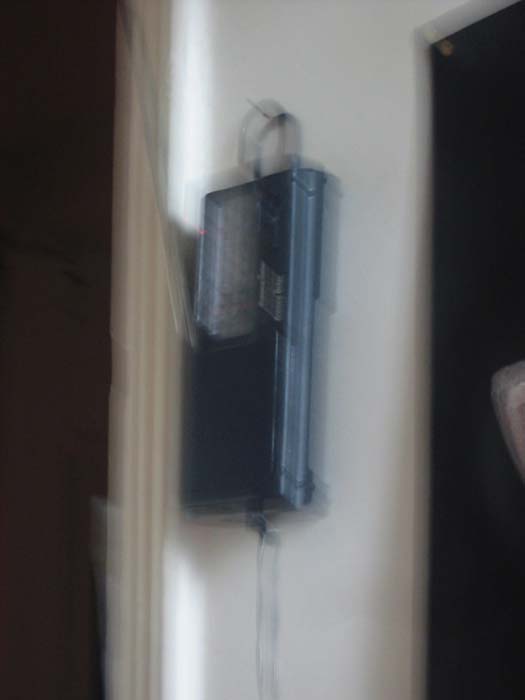 08:21:31