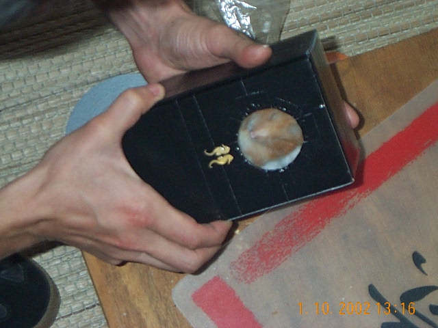 13:16:49