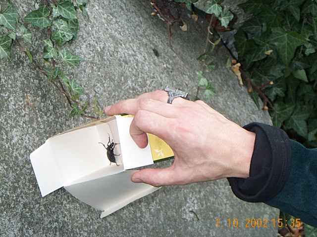 15:35:55