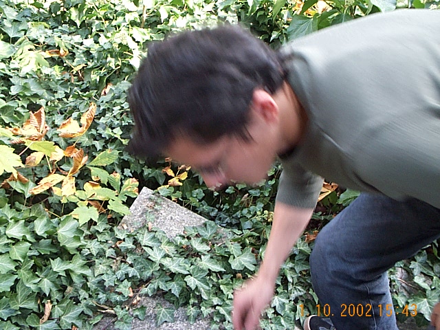 15:43:37