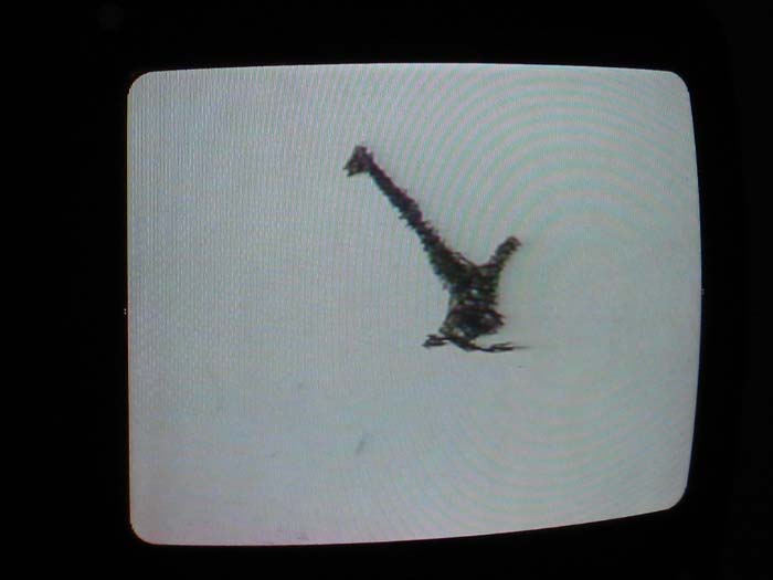 18:50:21