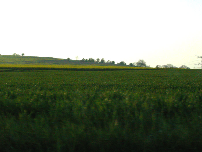 19:45:56