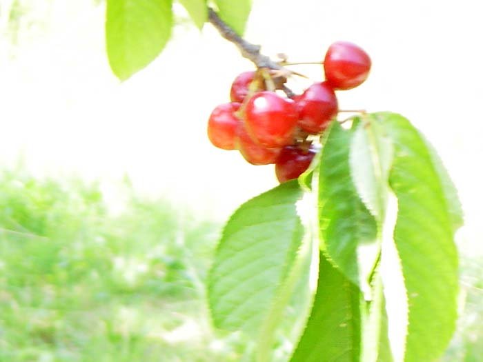 16:13:30