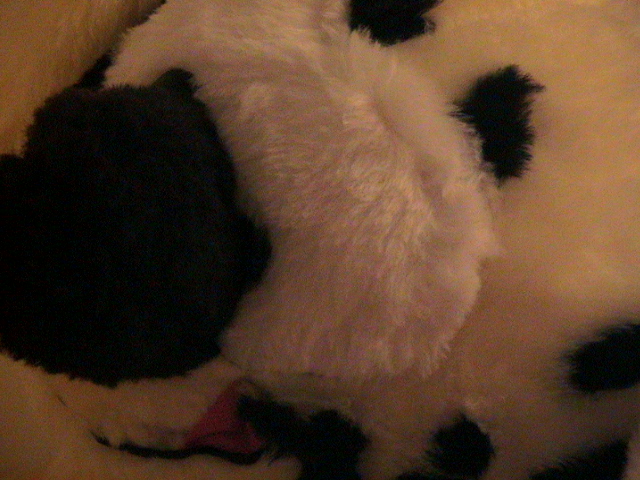 00:23:54