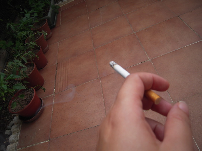 Fumo