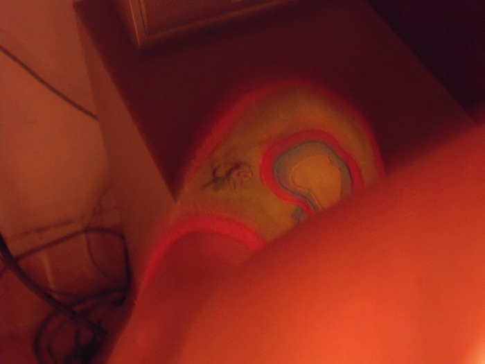 Mon pied
