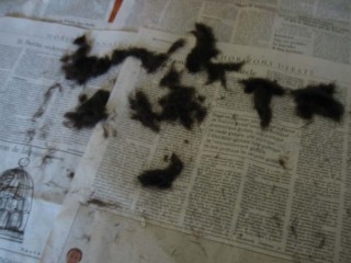 Cheveux