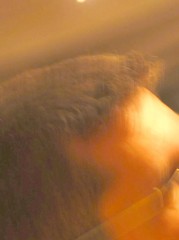 18:48:10