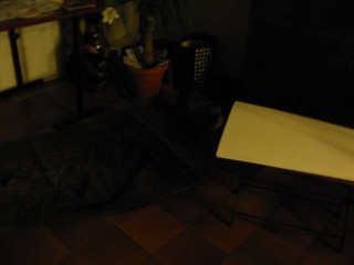 19:58:00
