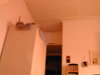23:19:23