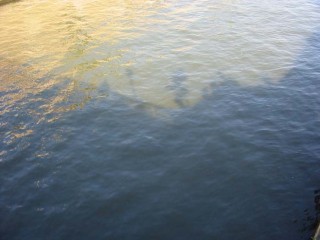 17:49:12