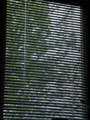 09:31:00