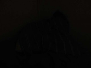 02:01:10