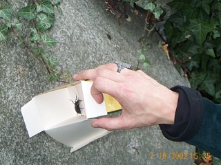 15:35:55