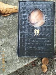 15:37:17