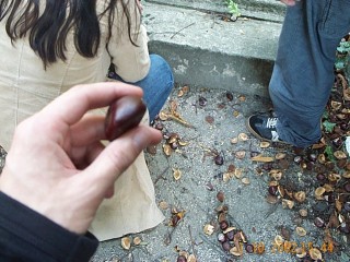 15:44:36