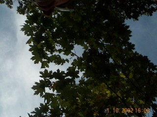 16:00:48