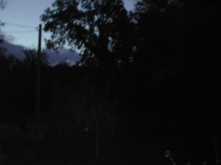 08:00:49