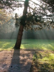 08:15:23