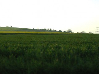 19:45:56