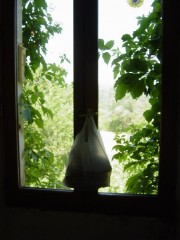 13:23:37