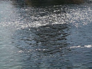 14:50:41