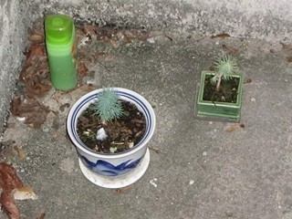 16:19:35
