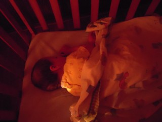 Mon petit