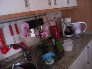 Orquidées